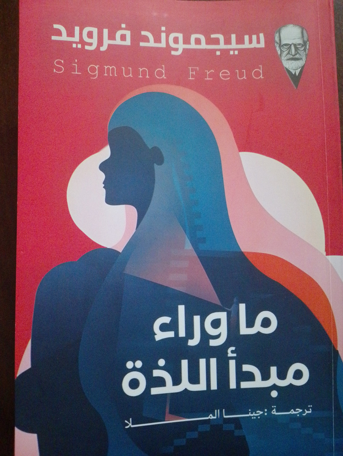ما وراء مبدأ اللذة